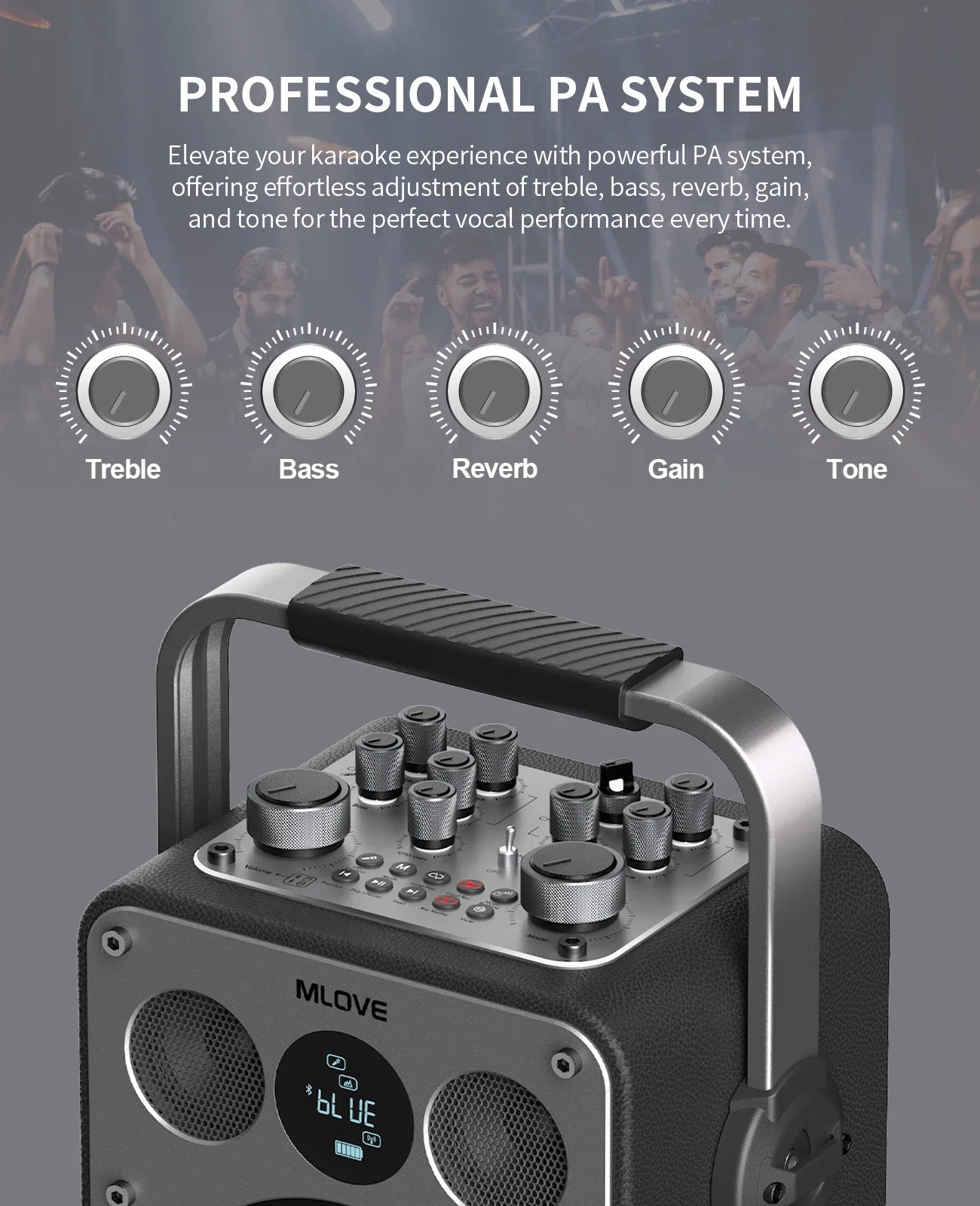 Professional Karaoke Machine for Adults with Bluetooth and 2 Wireless Microphones, Portable PA System Speaker, Recordin