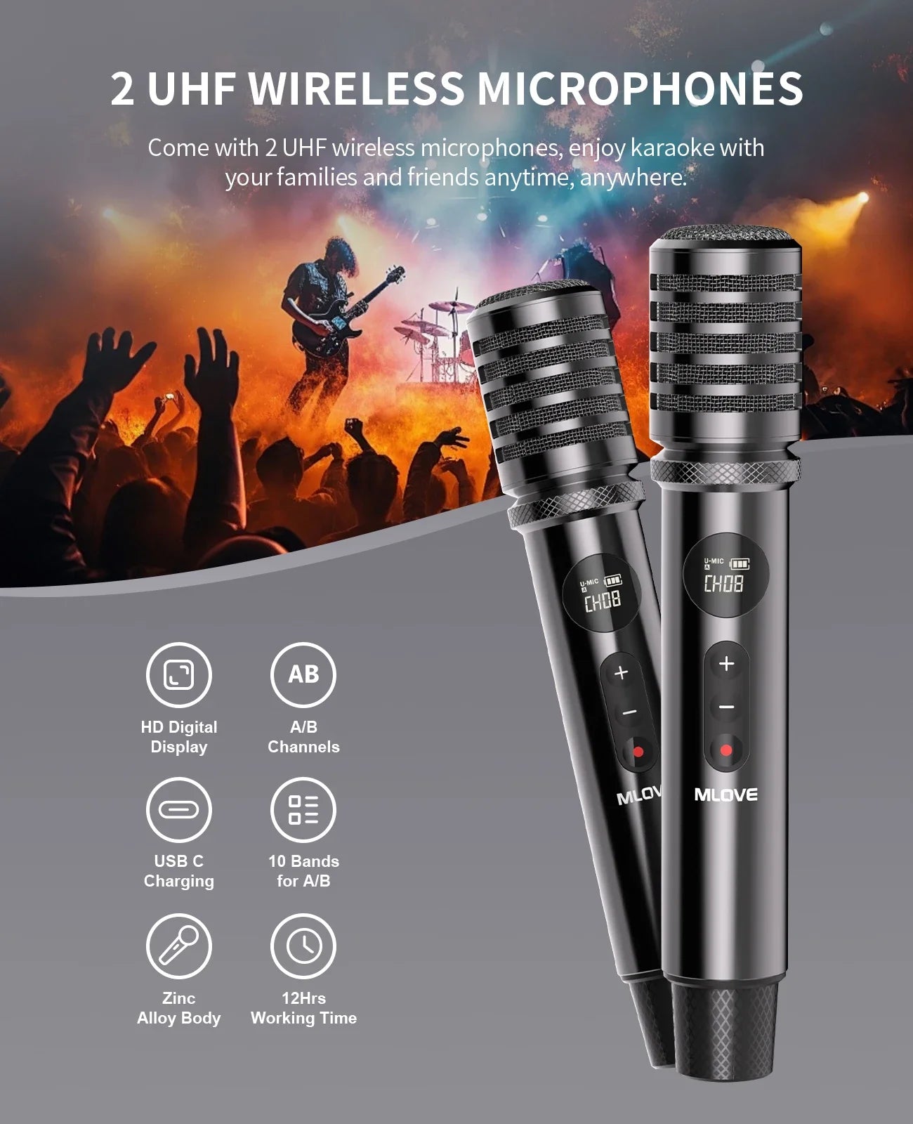 Professional Karaoke Machine for Adults with Bluetooth and 2 Wireless Microphones, Portable PA System Speaker, Recordin