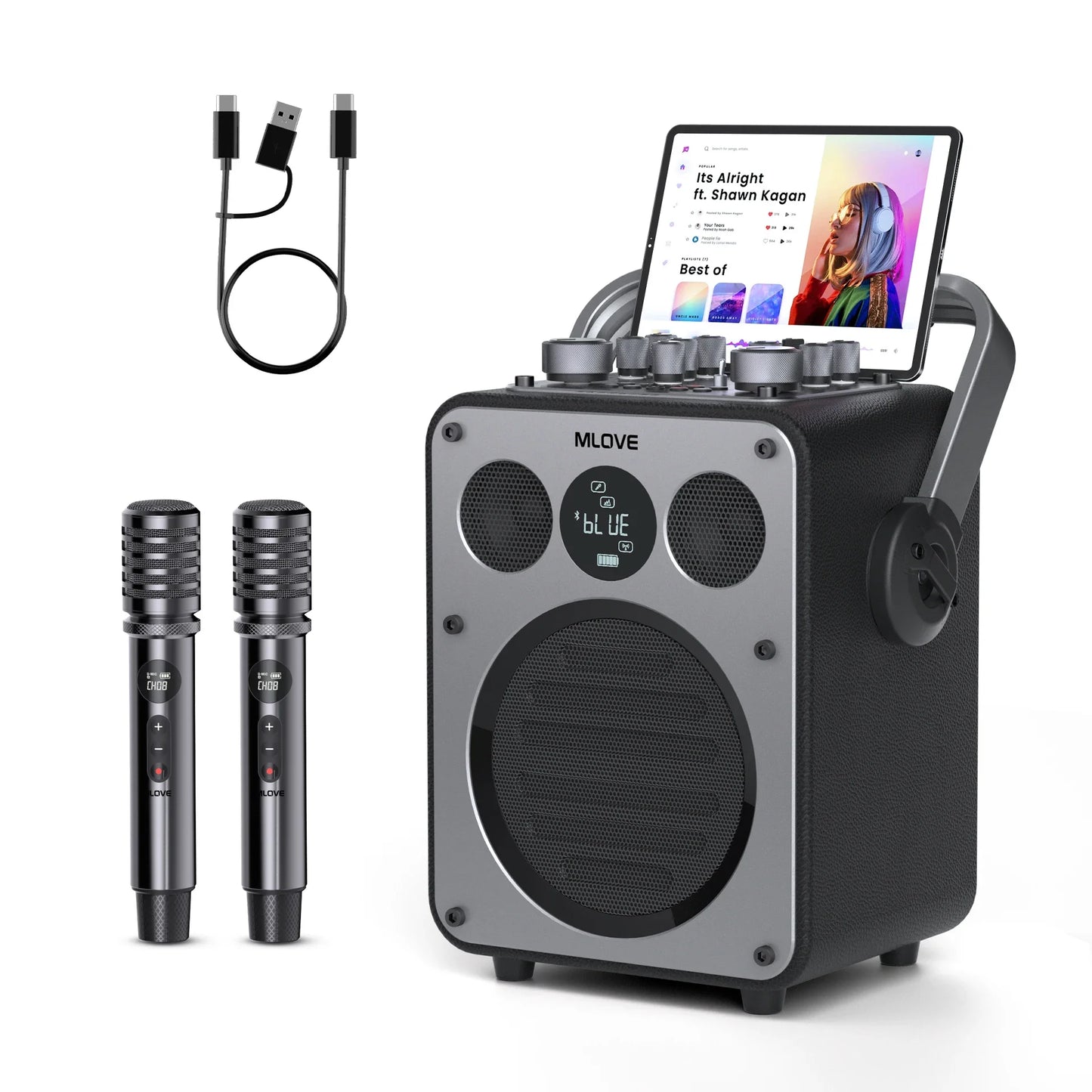 Professional Karaoke Machine for Adults with Bluetooth and 2 Wireless Microphones, Portable PA System Speaker, Recordin